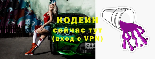 spice Богданович
