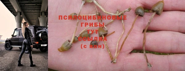 spice Богданович