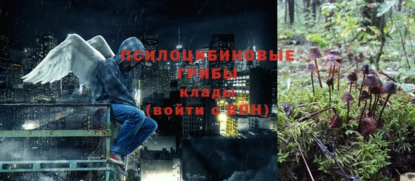 MDMA Богородицк