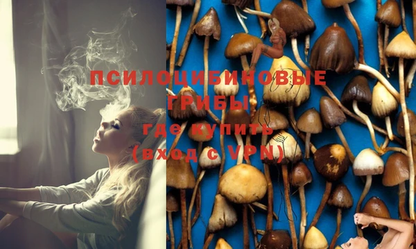 MDMA Богородицк
