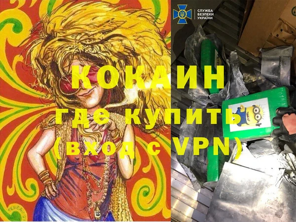 spice Богданович