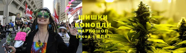 spice Богданович